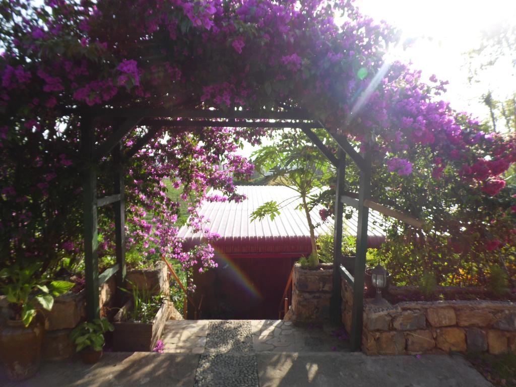 Aythaya Monte Divino Lodge Taunggyi Exteriér fotografie